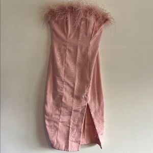 LPA Strapless Pink Dress with Feather Trim